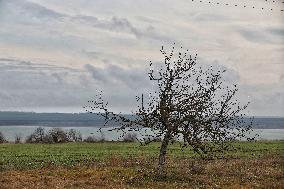 Lake Yalpuh in Odesa region